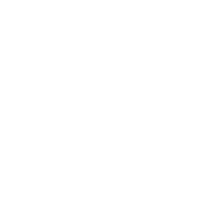 Data Insights icon